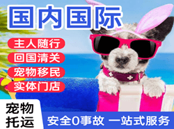 长安航空邮寄国际宠物托运 【国